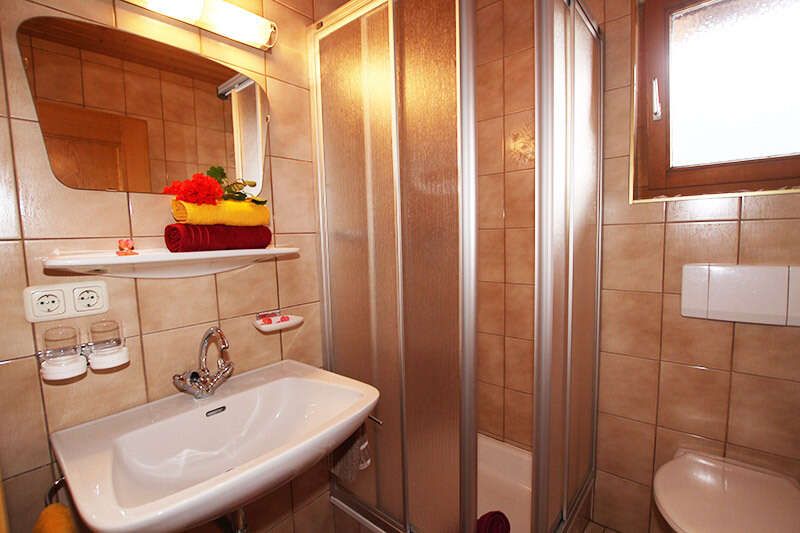 Badezimmer mit Dusche und Wc im Appartement 1 im Apart Alpinea